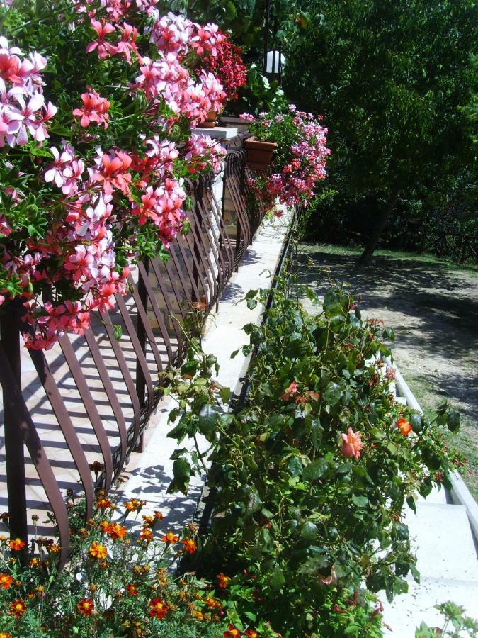 Casa Lieta Bed and Breakfast Subiaco Eksteriør billede